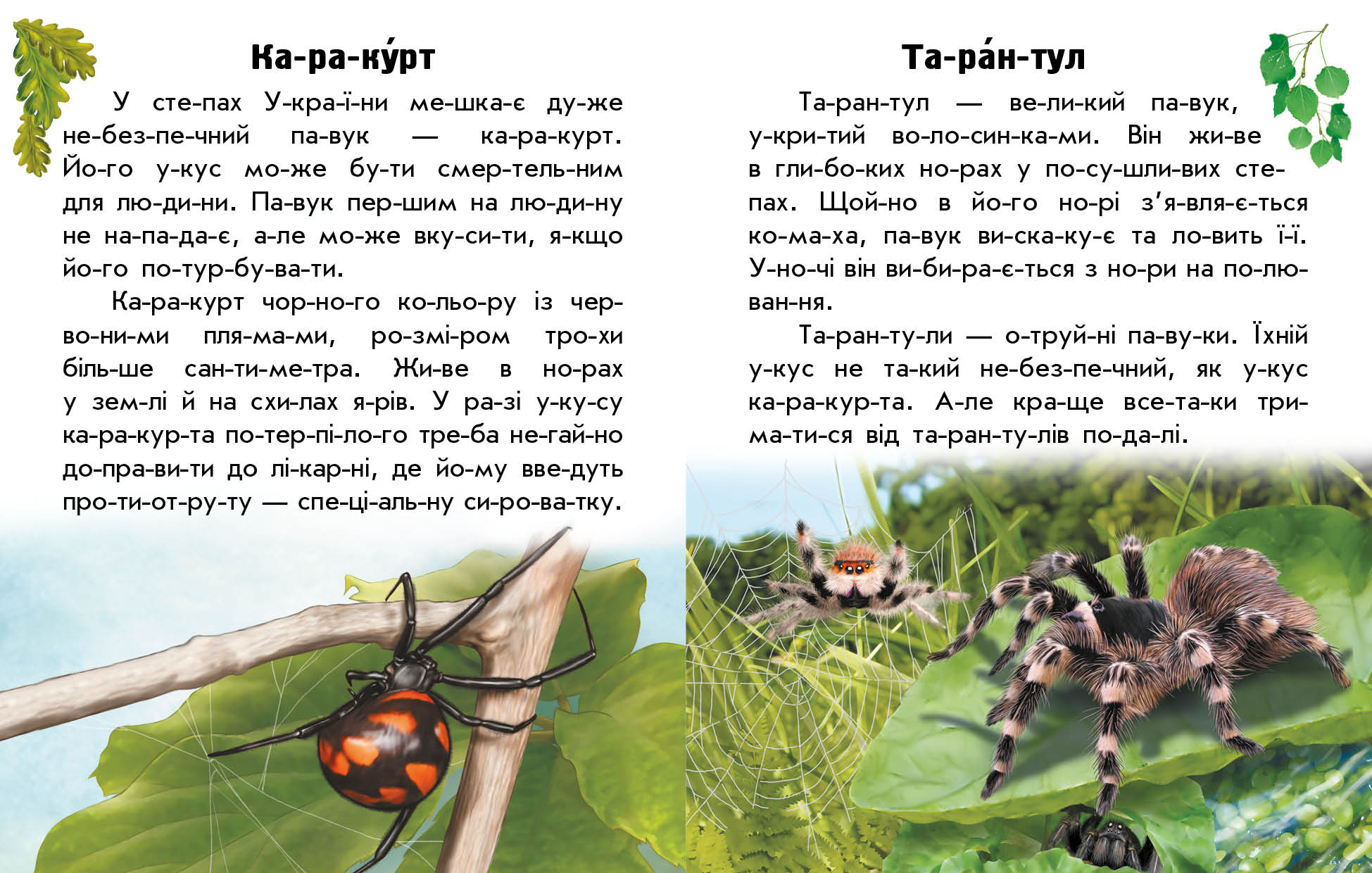 Тварини степів - фото 4