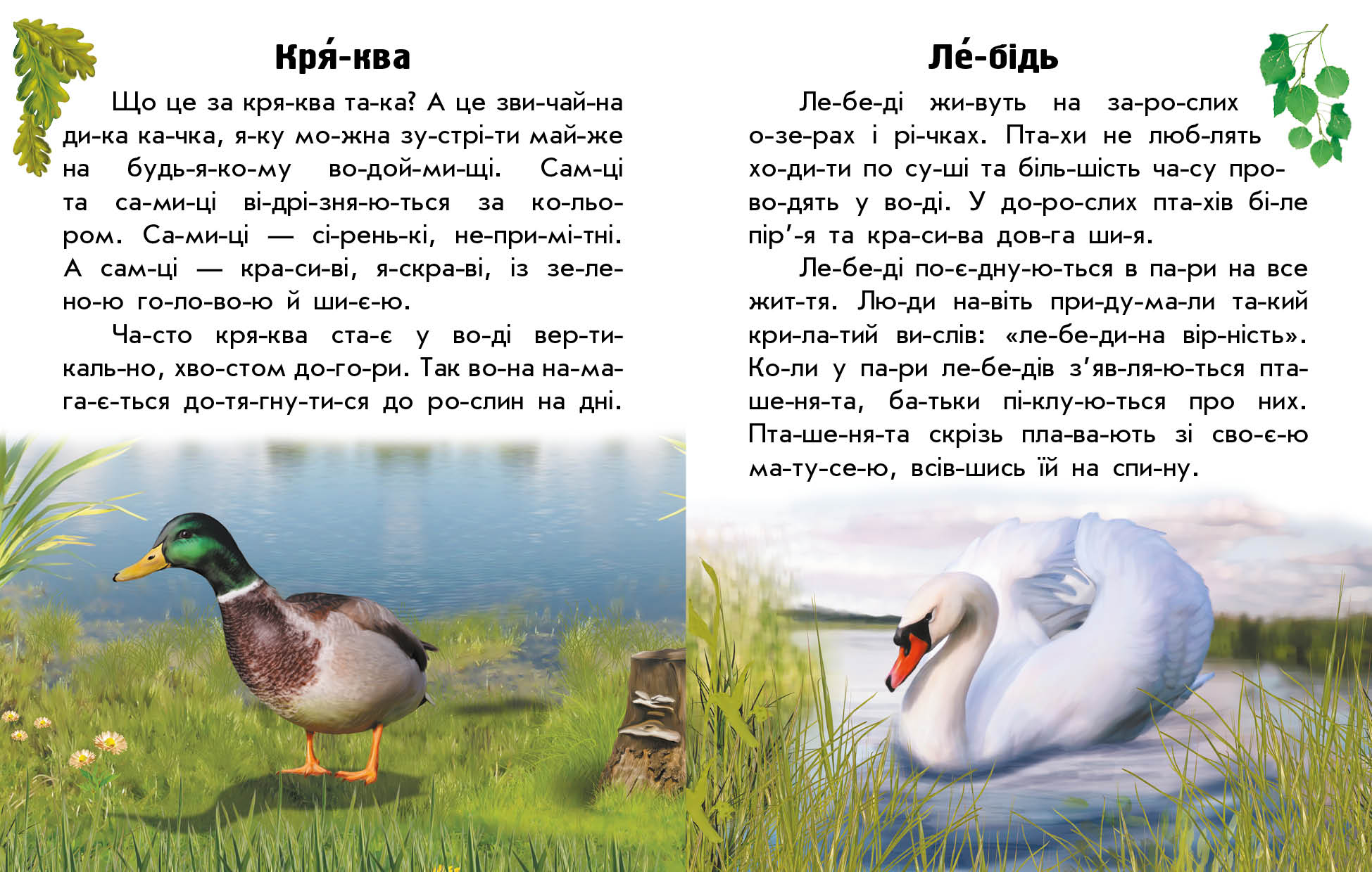 Тварини річок та морів - фото 4