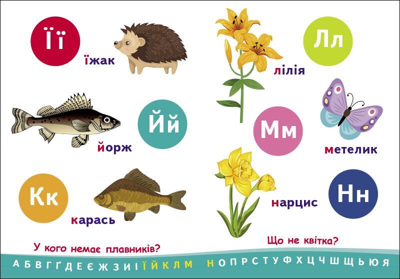 Абетка. - фото 4