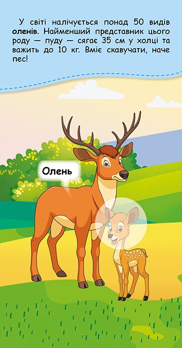 Книжка у кишеню з наліпками. Де чий малюк? - фото 4