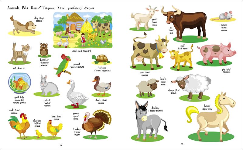 Книжка англійських слів у малюнках Основний словник початкової школи Коваль Н. Н. АРТ - фото 3