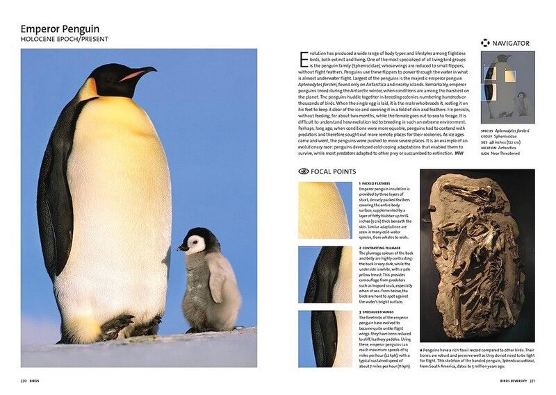 Evolution: The Whole Story - фото 4