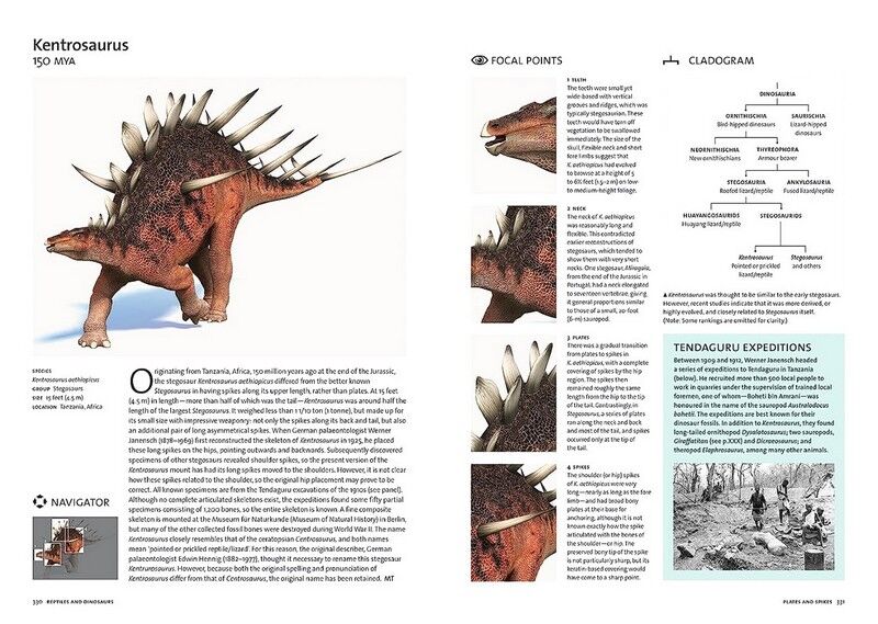 Evolution: The Whole Story - фото 5