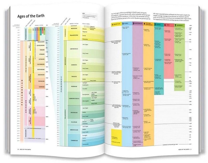 Evolution: The Whole Story - фото 6