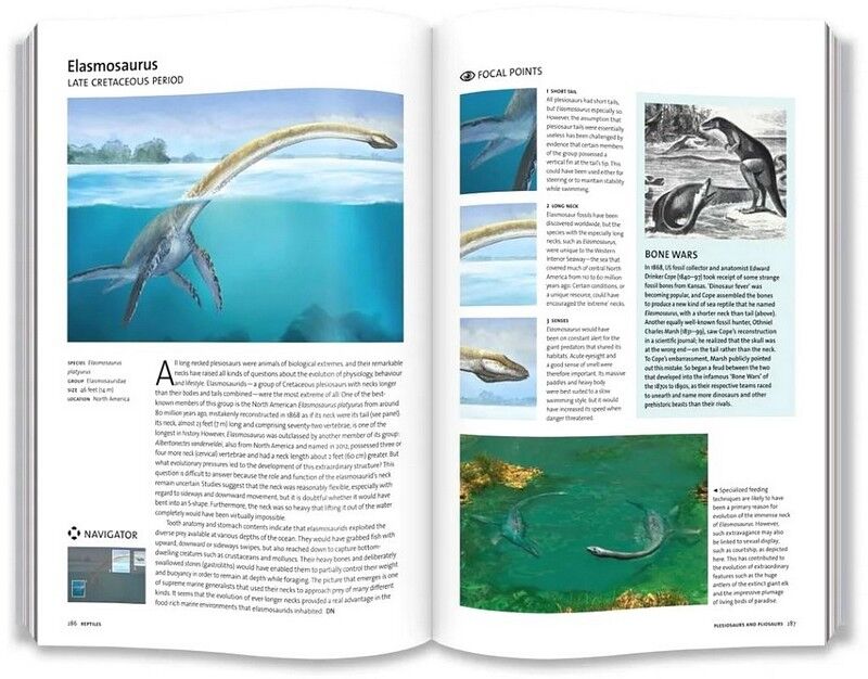 Evolution: The Whole Story - фото 7