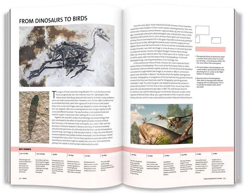 Evolution: The Whole Story - фото 8