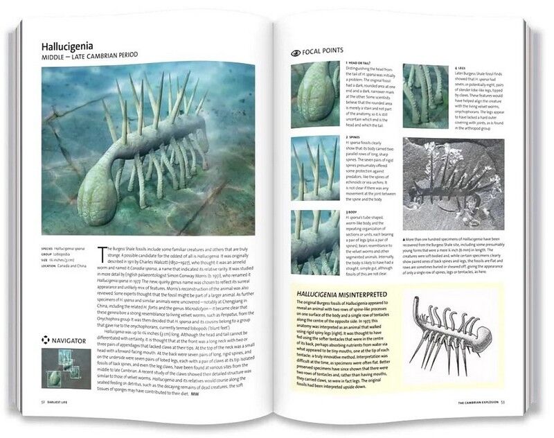 Evolution: The Whole Story - фото 9