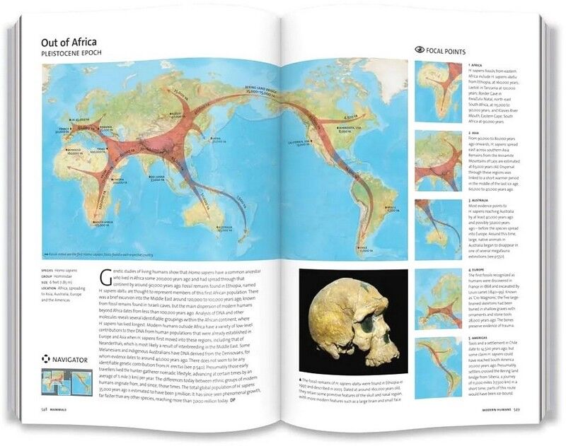 Evolution: The Whole Story - фото 10
