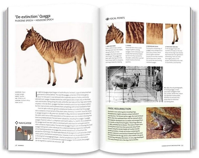 Evolution: The Whole Story - фото 11