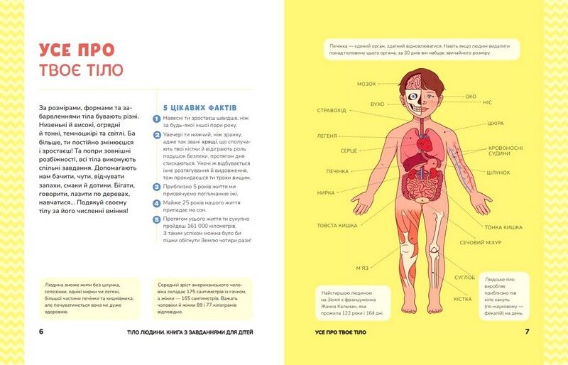 Тіло людини. Книжка з розвивальними завданнями для дітей - фото 2