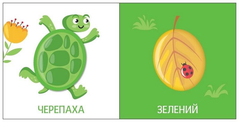 Яскравий світ. Кольори - фото 4