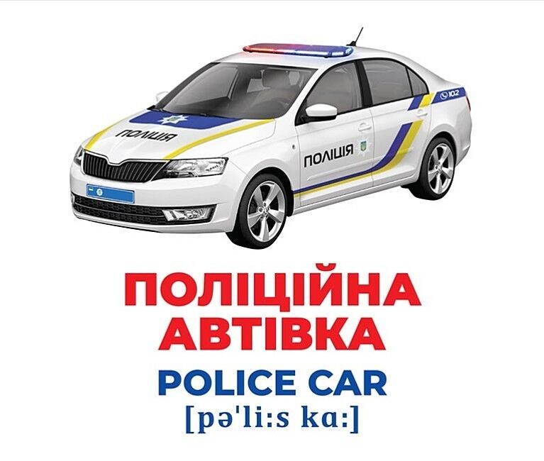 Геній з пелюшок. Спецтранспорт. Демонстраційний матеріал - фото 3