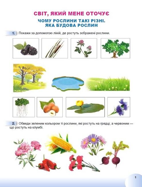 Зошит Я досліджую світ 1 клас Частина 2 НУШ Авт: Гільберг Т. та ін. Вид-во: Генеза - фото 3