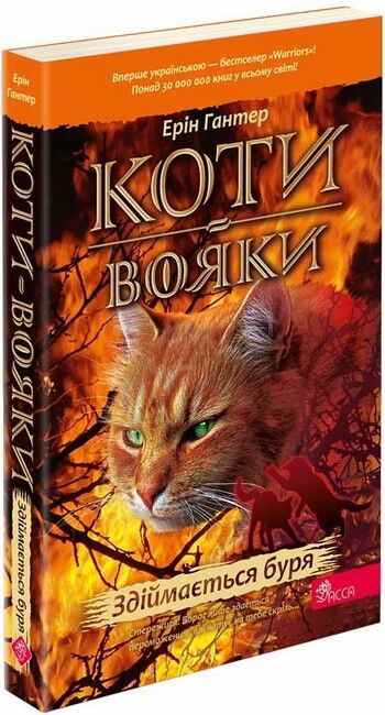 Коти-вояки. Книга 4. Здіймається буря (мяка обкладинка) - фото 1