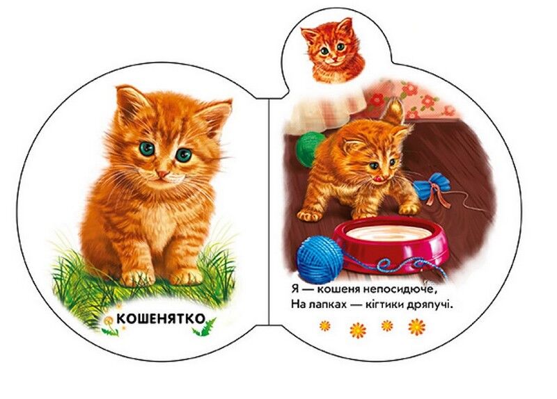 Малята на подвірї + Аудіо-бонус - фото 2