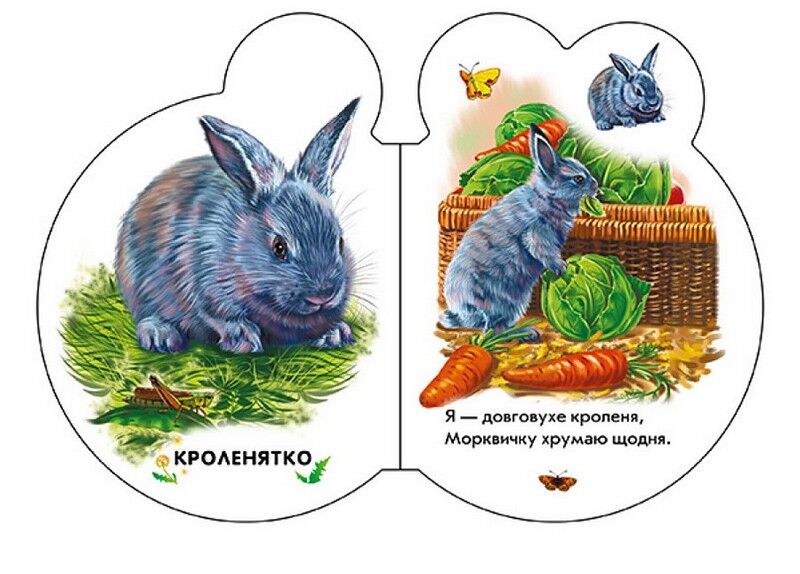 Малята на подвірї + Аудіо-бонус - фото 3