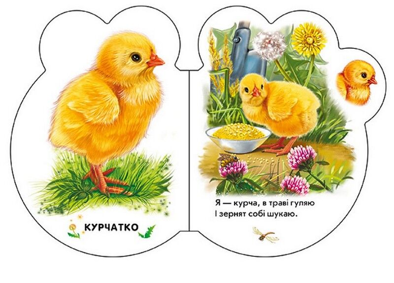 Малята на подвірї + Аудіо-бонус - фото 4