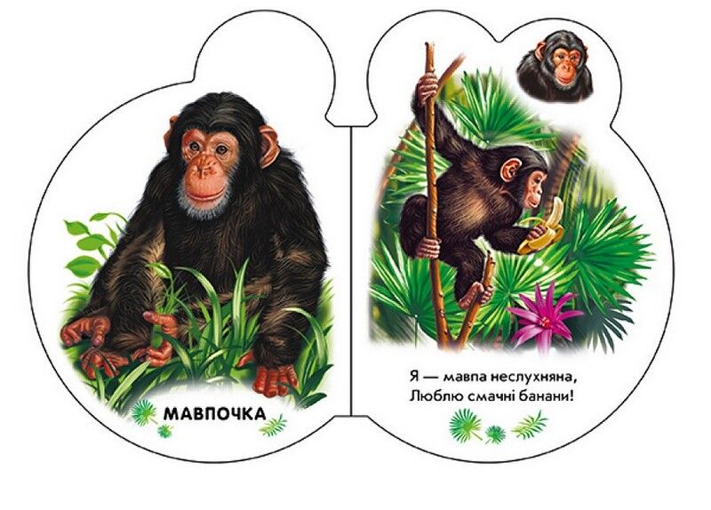 Малята у зоопарку + Аудіо-бонус - фото 3