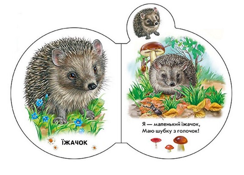 Малята у лісі + Аудіо-бонус - фото 2