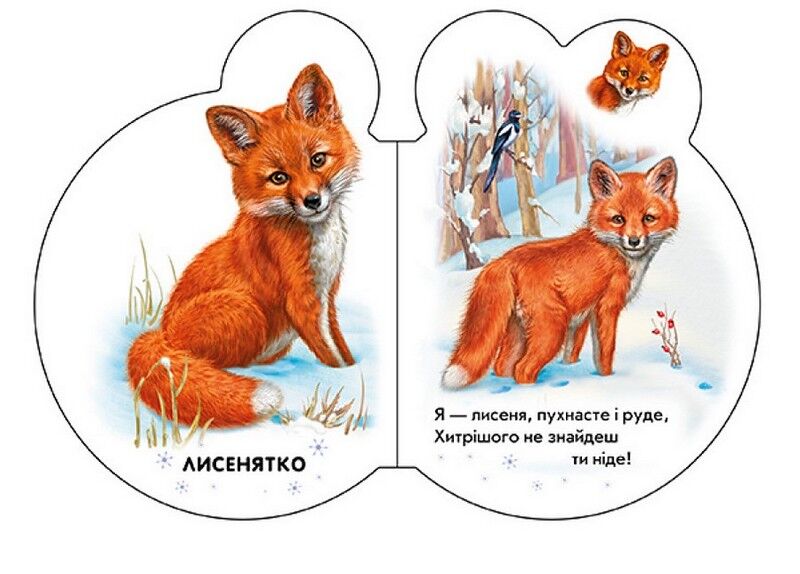 Малята у лісі + Аудіо-бонус - фото 3