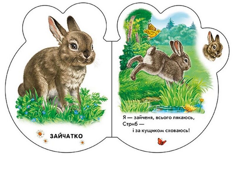 Малята у лісі + Аудіо-бонус - фото 4