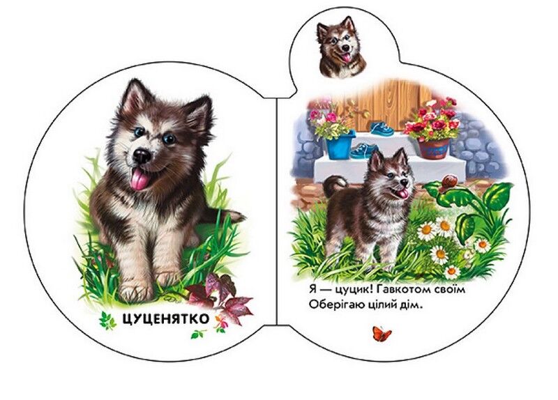 Малята у селі + Аудіо-бонус - фото 2