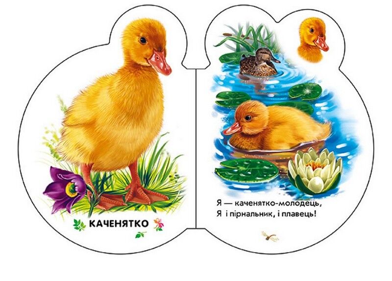 Малята у селі + Аудіо-бонус - фото 3