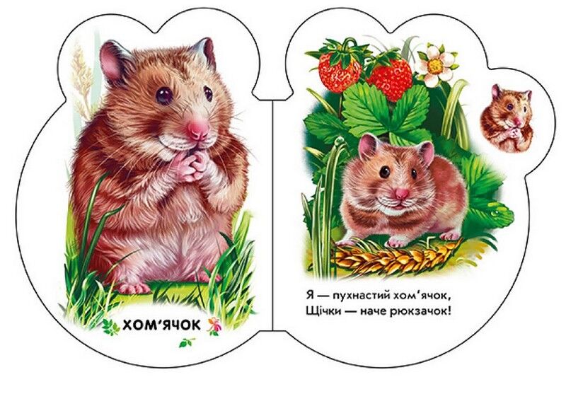 Малята у селі + Аудіо-бонус - фото 4