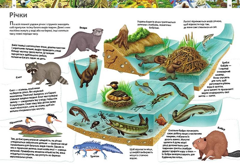 Дитяча енциклопедія. Дивовижний світ тварин - фото 2
