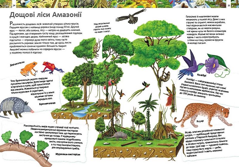 Дитяча енциклопедія. Дивовижний світ тварин - фото 3