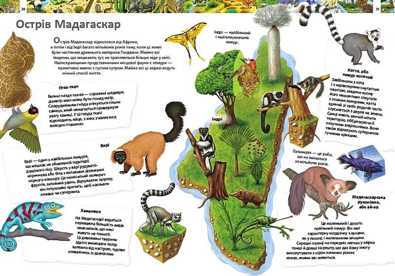 Дитяча енциклопедія. Дивовижний світ тварин - фото 4