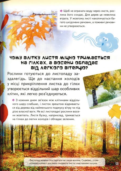 Велика дитяча енциклопедія у запитаннях і відповідях - фото 5