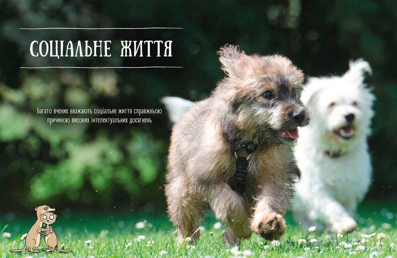 Про мислення і почуття тварин - фото 3