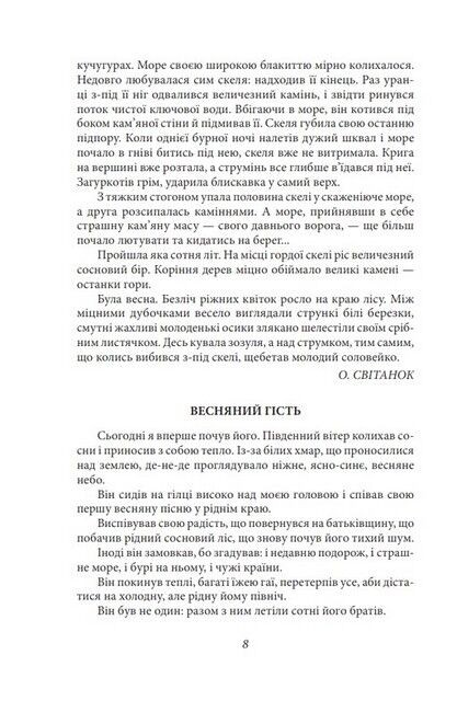 Підзамча. Поезія, проза, листи - фото 5