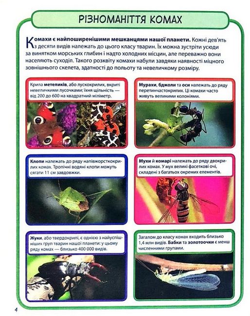 Комахи. Міні-енциклопедія. 50 найвідоміших видів - фото 4