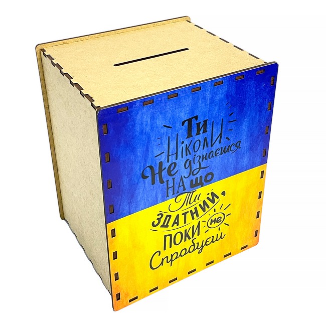 Скарбничка 365 днів. На що ти здатний - фото 2