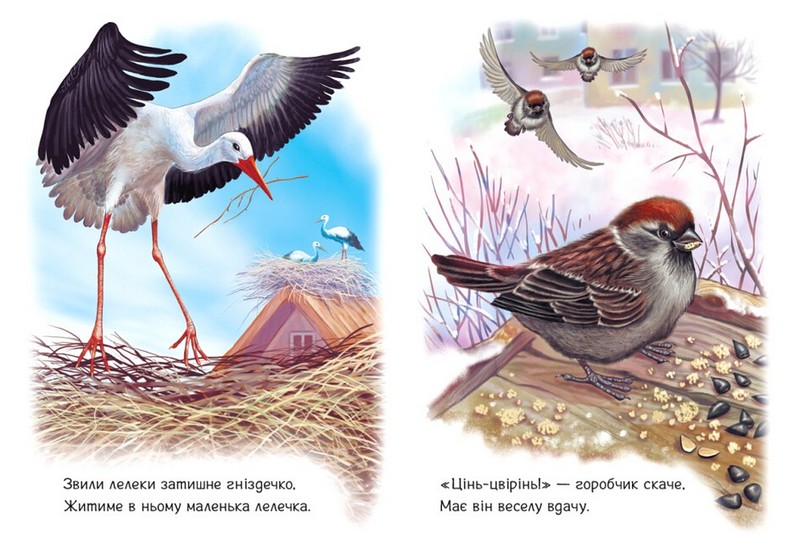 Малятам про звіряток. Поруч з нами. Збірник - фото 2