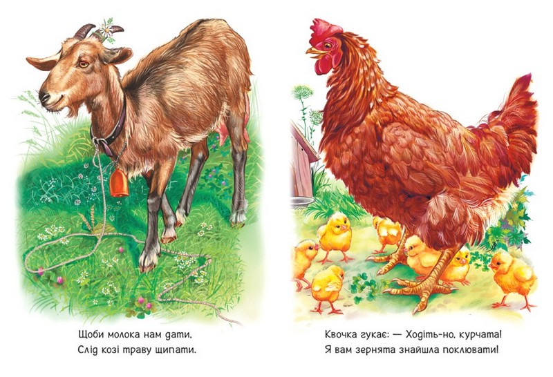 Малятам про звіряток. Поруч з нами. Збірник - фото 3