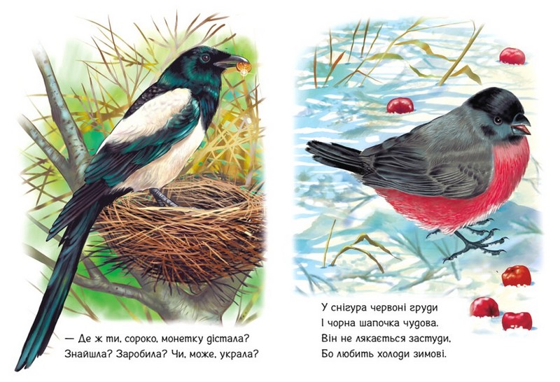 Малятам про звіряток. Поруч з нами. Збірник - фото 4