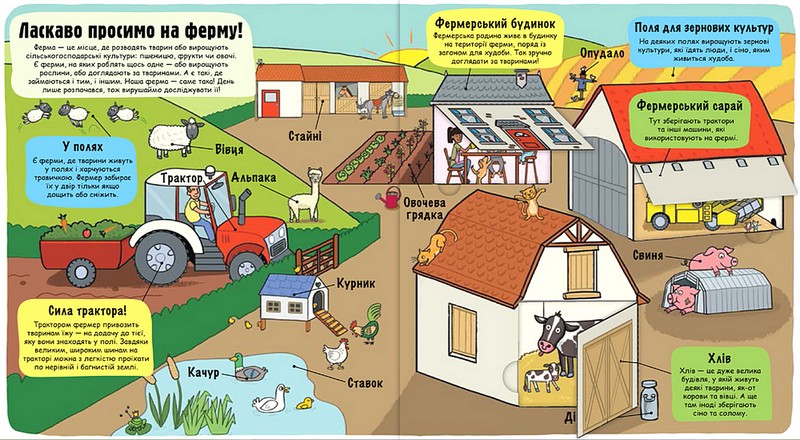 Маленькі дослідники. Ферма - фото 2