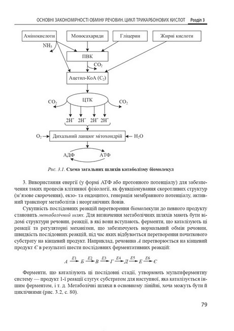 Біологічна і біоорганічна хімія у 2 книгах. Книга 2. Біологічна хімія. Підручник. 3-є видання - фото 4