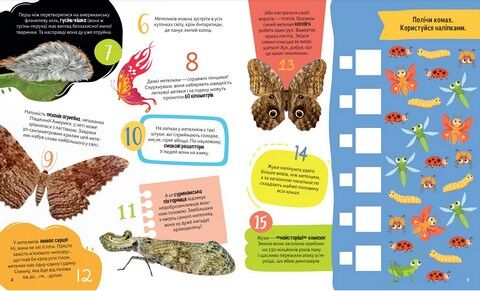 Комахи. 100 цікавих фактів - фото 2