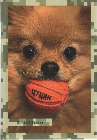 ЦУЦИК - фото 1