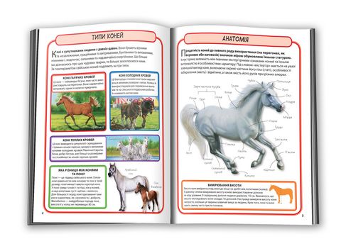 Коні і поні. Міні-енциклопедія. 50 найвідоміших різновидів - фото 6