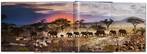 Stephen Wilkes. Day to Night - фото 9