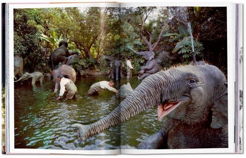 Walt Disney’s Disneyland - фото 3