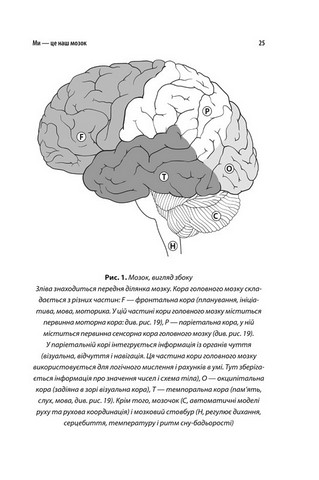 Ми - це наш мозок - фото 6