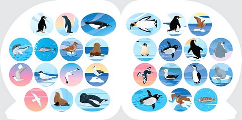 Пізнавальні наліпки. Тварини Антарктиди - фото 3