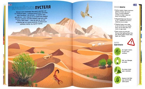 Як вижити де завгодно - фото 5