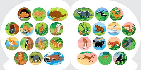 Пізнавальні наліпки. Тварини Північної Америки - фото 3